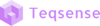Teqsense Logo