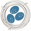 MakeNest Interiors Logo