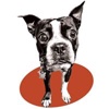Mantooth Marketing Company Logo