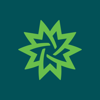 Matcha Logo