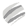 MediaMark Spotlight Logo