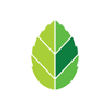 Mint Digital Agency Logo
