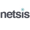 Netsis Technology Logo