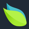 Orchard Designs Logo