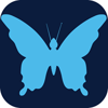 Papalotl Technologies Logo