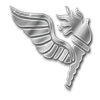 Pathfinder Trucking Logo