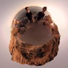 Perception Squared Logo