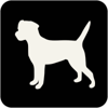 Phosphor Essence Logo