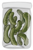 Pickle Jar Films Logo