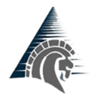 Platinum One Logo