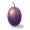 Plum Design & Advertising Ltd Logo