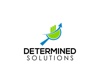 Determined Solutions SEO Logo