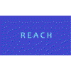 Reach Velocity Logo
