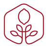 Red Lemon Creative Logo