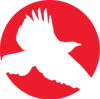 Red Hawk Technologies Logo