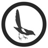 Rogue Heart Media, Inc. Logo