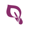 Sandy Flom, CPA, CFP Logo