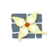 Stone Blossom Landscape & Design, LLC Logo