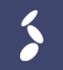 Sequent Consulting Logo