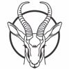 Springbok Entertainment Logo