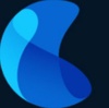 Strong Wave Marketing Logo