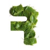 Studio Revolucija Logo