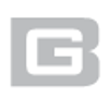 The Bergmann Group Logo