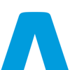 The Flag Logo