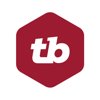 Thinking Big Information Technology Inc. Logo
