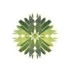 Turtle Island Staffing Logo