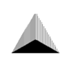 Tri-Com Consulting Group Logo