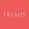 Tribus Digital Logo
