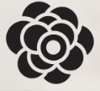 Tricia Koning Photography Logo