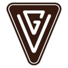 Vanguard development Logo