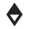 Vasava Logo