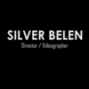VideobySilver Logo