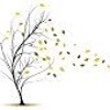 Windy Day Design Logo