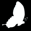 Zaahi Studios Logo