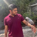Mohammed Umar Gigani