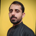 Wajid Majeed