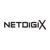 Netdigix Systems Inc Logotype