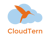 CloudTern Solutions Inc Logotype