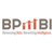 BPM BI Logotype