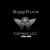 Biggtruck Carriers LLC Logotype