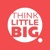 Think Little Big Marketing Ltd Logotype