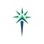 Northstar Financial Consulting Group Logotype