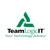 TeamLogic IT by Visco Ventures Logotype