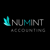 Numint Accounting Logotype
