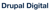 Drupal Digital Logotype