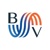 BLUEVISIONS Logotype
